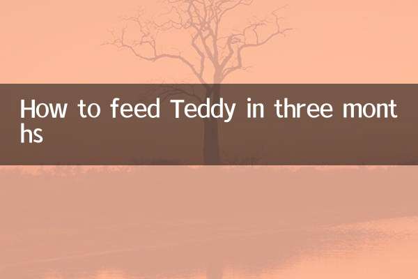 How to feed Teddy in three months