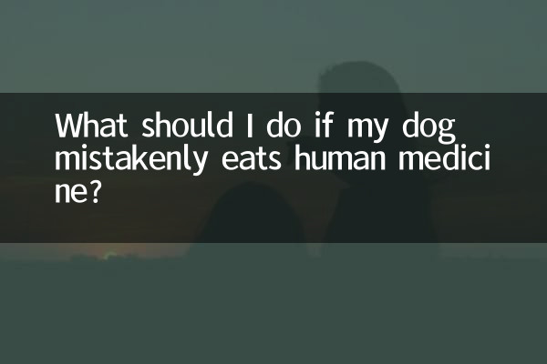 犬が人間用の薬を誤って食べてしまった場合はどうすればよいですか？