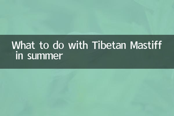 Qué hacer con el Mastín Tibetano en verano