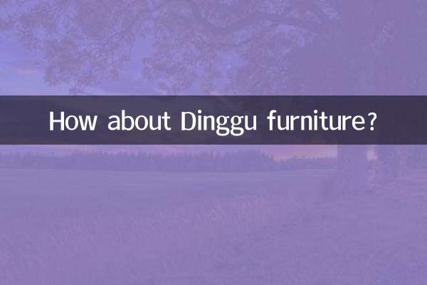 ¿Qué tal los muebles Dinggu?
