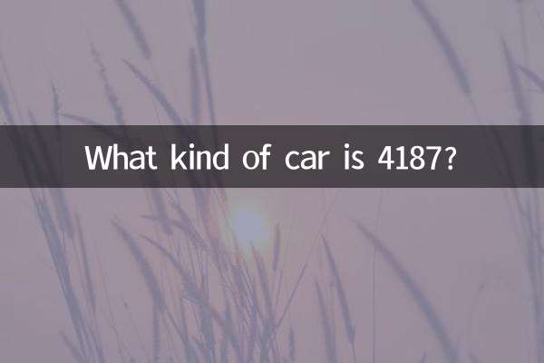 4187 কি ধরনের গাড়ি?