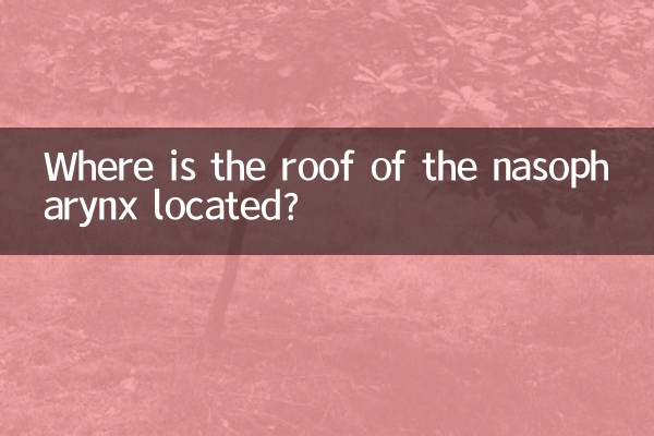 鼻咽顶在什么位置