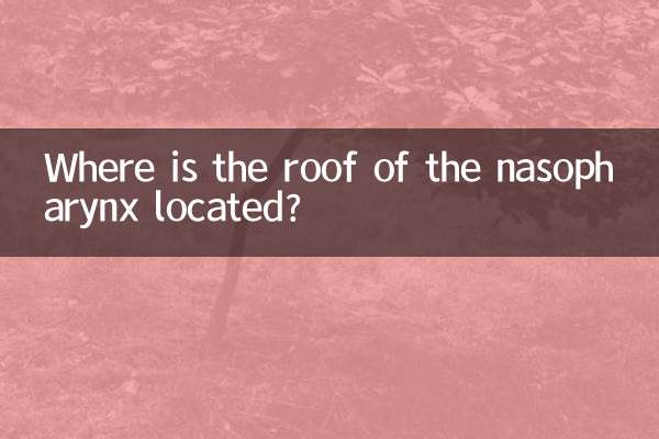 鼻咽頭の屋根はどこにありますか?