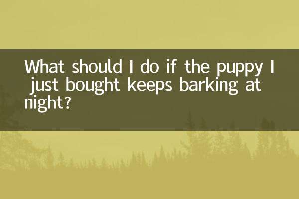 Was soll ich tun, wenn der Welpe, den ich gerade gekauft habe, nachts weiter bellt?