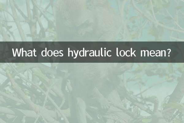 হাইড্রোলিক লক বলতে কী বোঝায়?