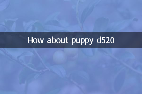 কুকুরছানা d520 সম্পর্কে কিভাবে