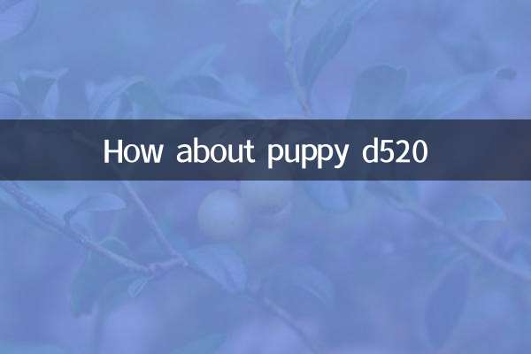 小狗d520怎么样