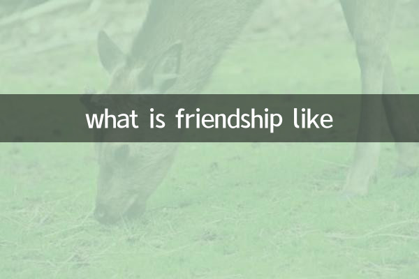 à quoi ressemble l'amitié