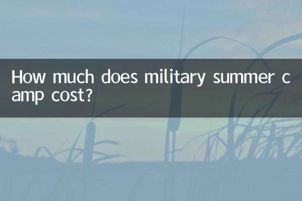 Wie viel kostet ein militärisches Sommercamp?