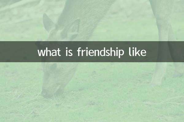 à quoi ressemble l'amitié