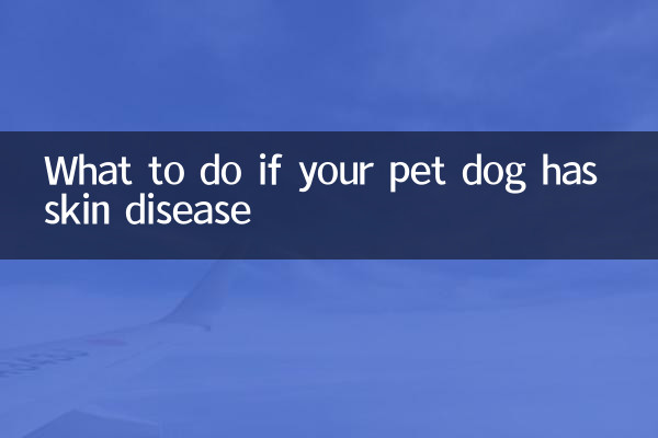 আপনার পোষা কুকুরের চর্মরোগ হলে কি করবেন