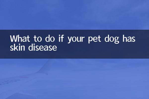 Что делать, если у вашей собаки кожное заболевание