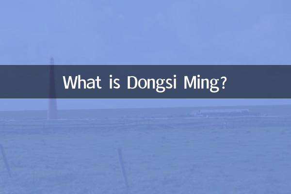 ¿Qué es Dongsi Ming?