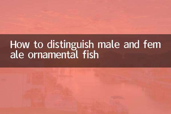 관상어 수컷과 암컷을 구별하는 방법