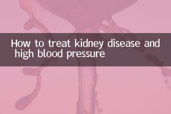 Wie man Nierenerkrankungen und Bluthochdruck behandelt