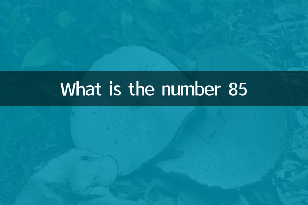 What is the number 85