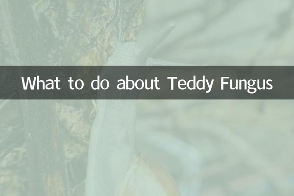 テディ・ファンガスについて何をすべきか