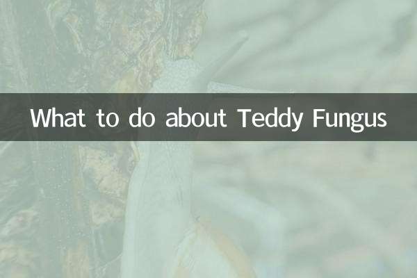 テディ・ファンガスについて何をすべきか