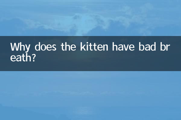 小貓口臭怎麼回事