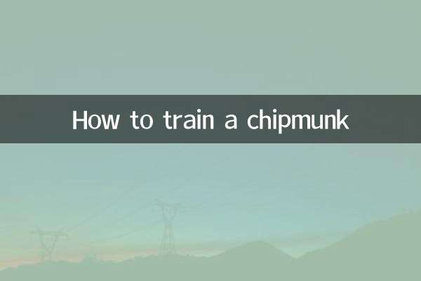 How to train a chipmunk