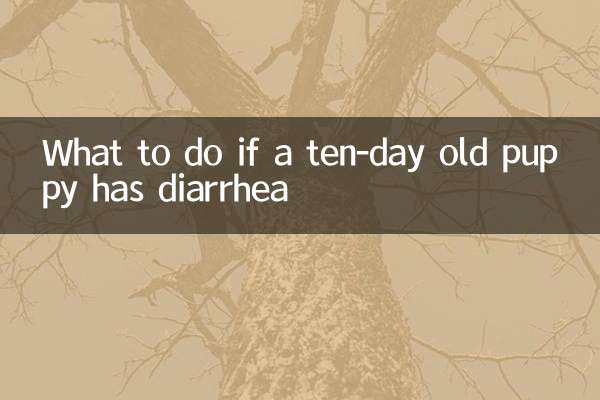 দশ দিন বয়সী কুকুরছানার ডায়রিয়া হলে কী করবেন