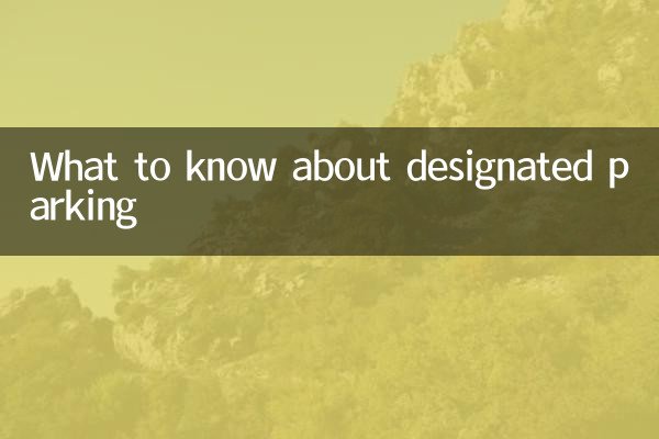 定點停車怎麼看點