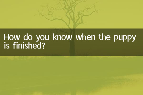 Comment savoir quand le chiot a fini ?