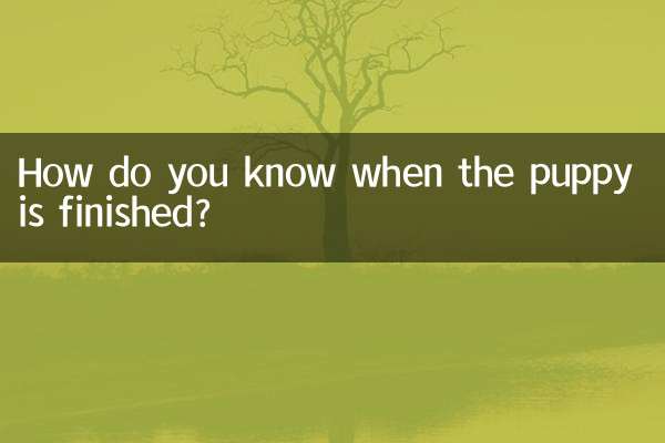 How do you know when the puppy is finished?
