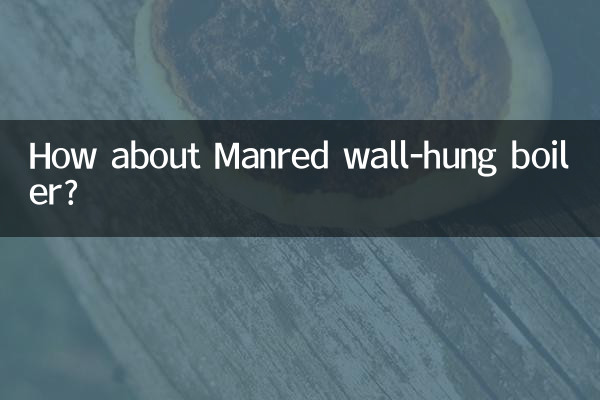 ¿Qué tal la caldera mural Manred?