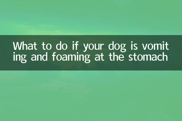What to do if your dog is vomiting and foaming at the stomach