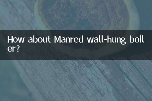 ¿Qué tal la caldera mural Manred?