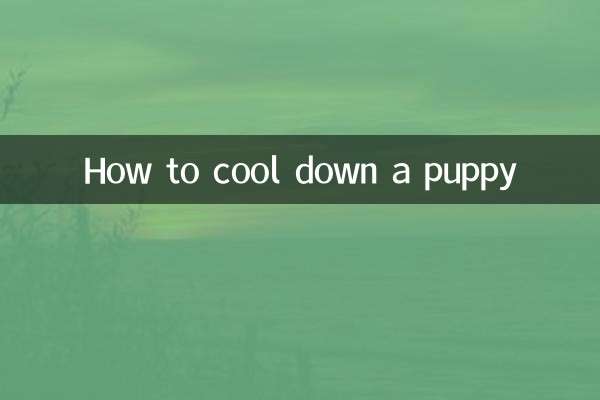 怎么给幼犬降温