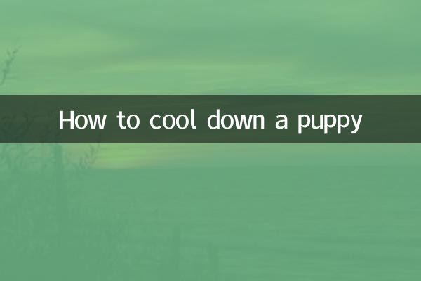 怎么给幼犬降温