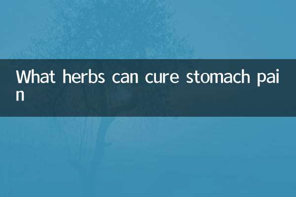 Quais ervas podem curar dores de estômago