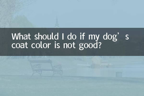 Cosa devo fare se il colore del pelo del mio cane non è buono?