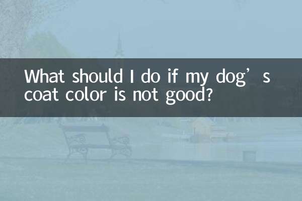 강아지 털 색깔이 좋지 않으면 어떻게 해야 하나요?