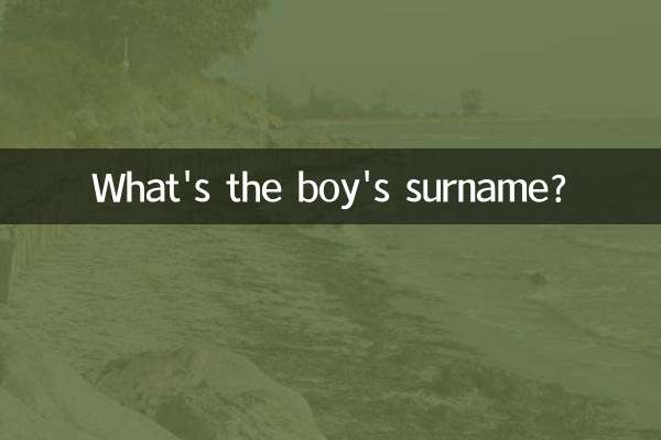 Qual è il cognome del ragazzo?