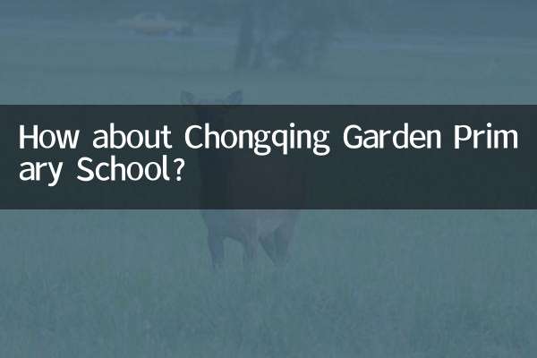 ¿Qué tal la escuela primaria Chongqing Garden?