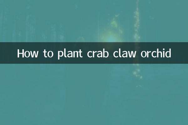 Como plantar orquídea garra de caranguejo