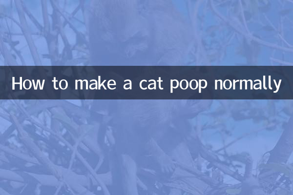 怎么让猫正常拉屎