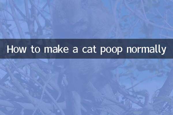 怎麼讓貓正常拉屎