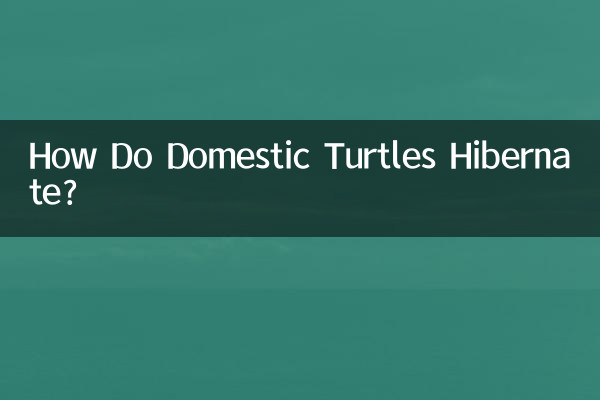 كيف تدخل السلاحف المنزلية في سبات شتوي؟