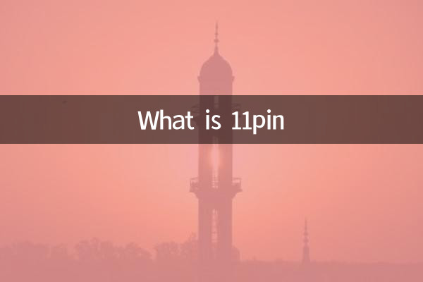 11পিন কি?