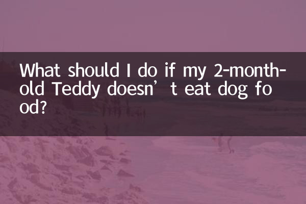 2個月的泰迪不吃狗糧怎麼辦