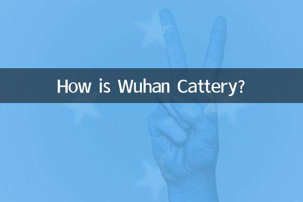Wie ist die Wuhan Cattery?