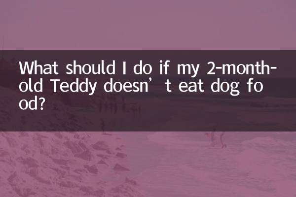 यदि मेरा 2 महीने का टेडी कुत्ते का खाना नहीं खाता है तो मुझे क्या करना चाहिए?
