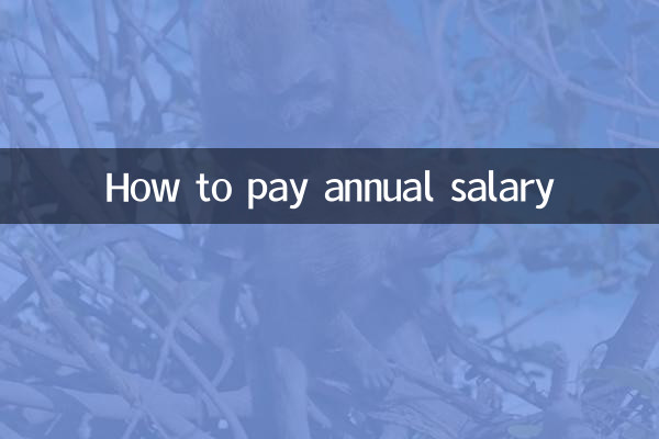 نحوه پرداخت حقوق سالانه