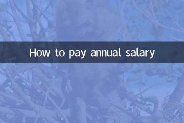 年俸の支払い方法
