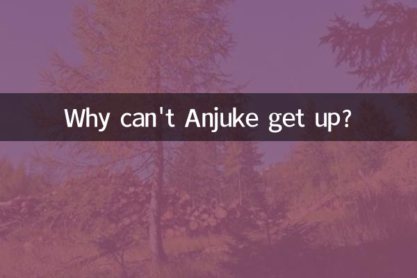 安居客怎么上不去