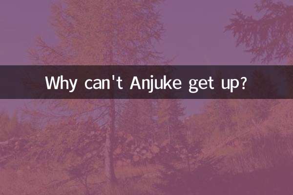 安居客怎么上不去